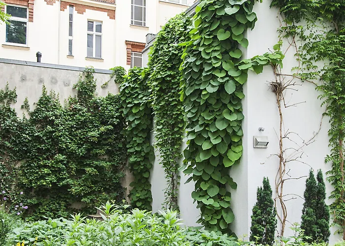  Quentin Design Berlin
